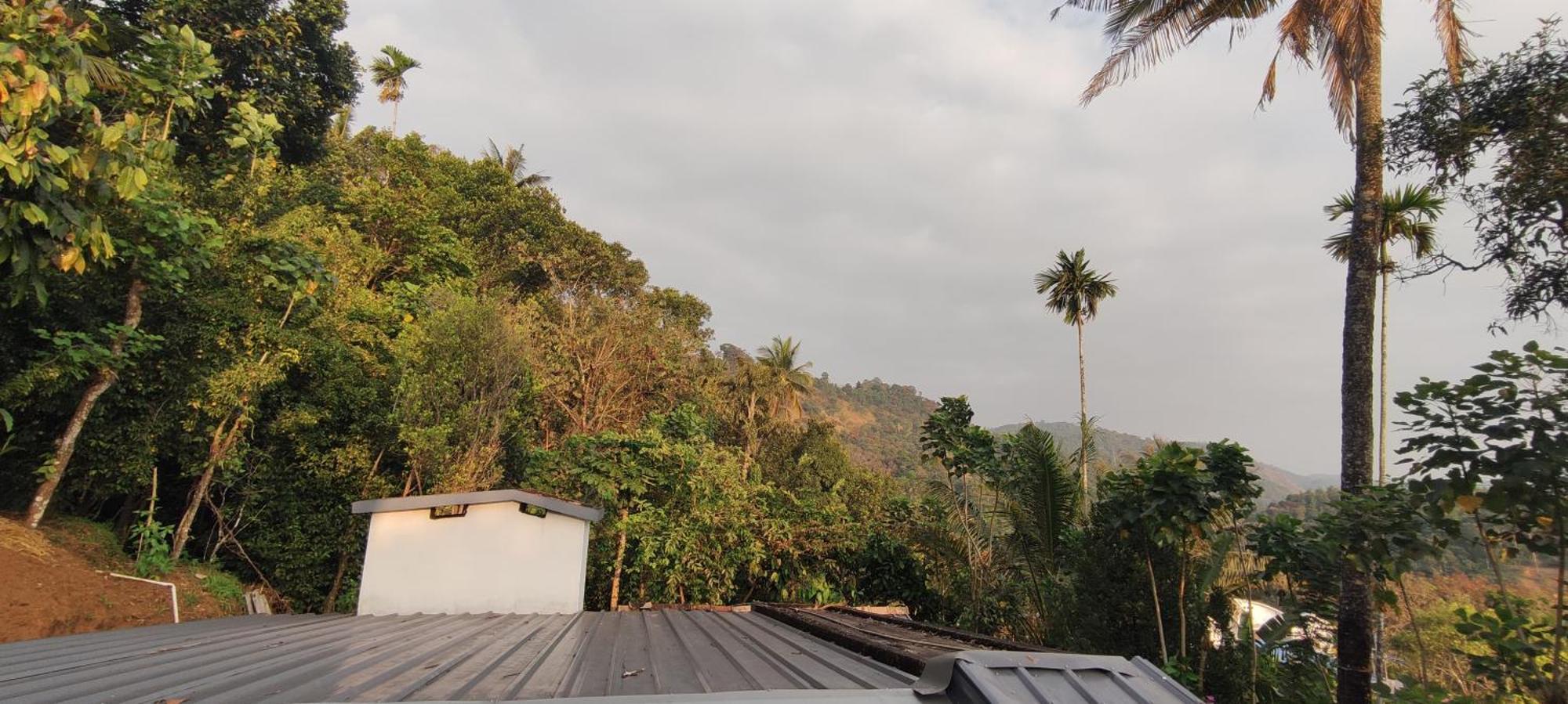 Koonamparayil Munnar Anaviratty-family Only Anaviratty