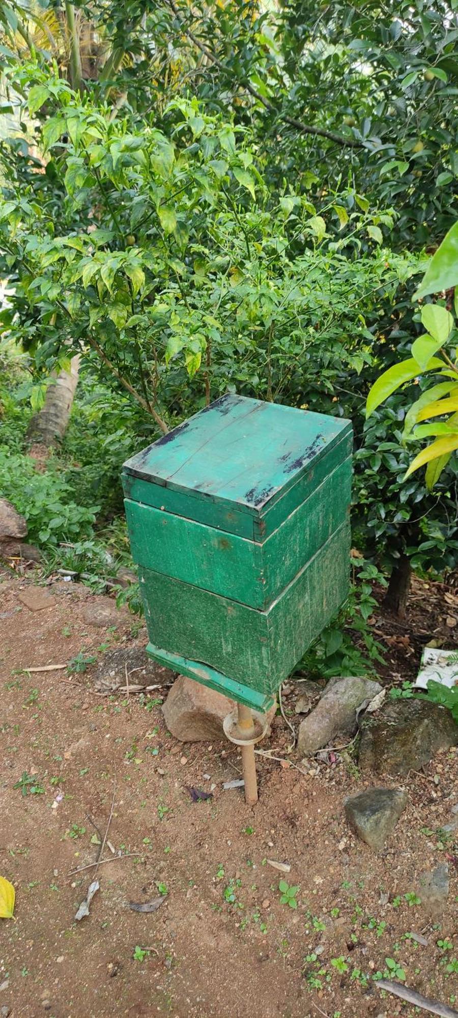 Koonamparayil Munnar Anaviratty-family Only * Anaviratty