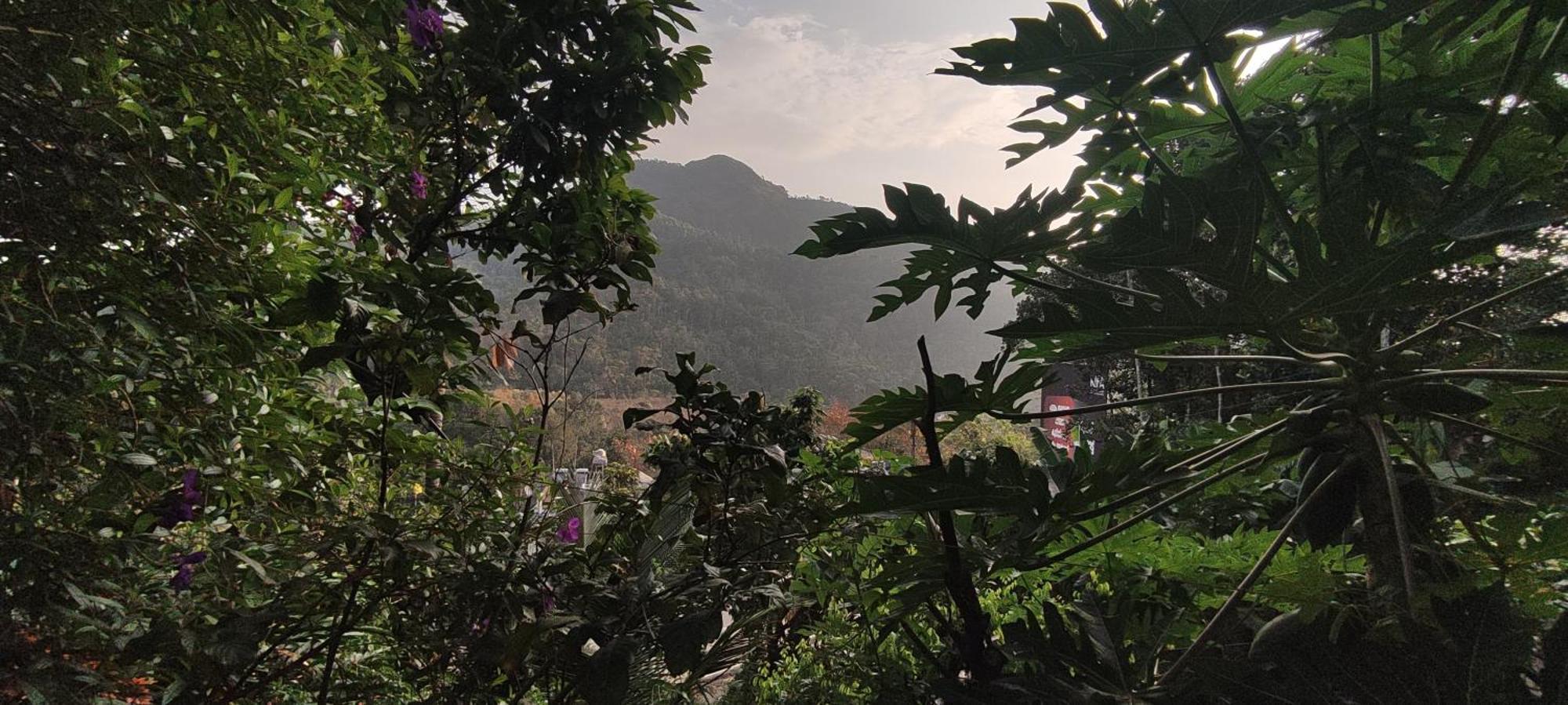 Koonamparayil Munnar Anaviratty-family Only *