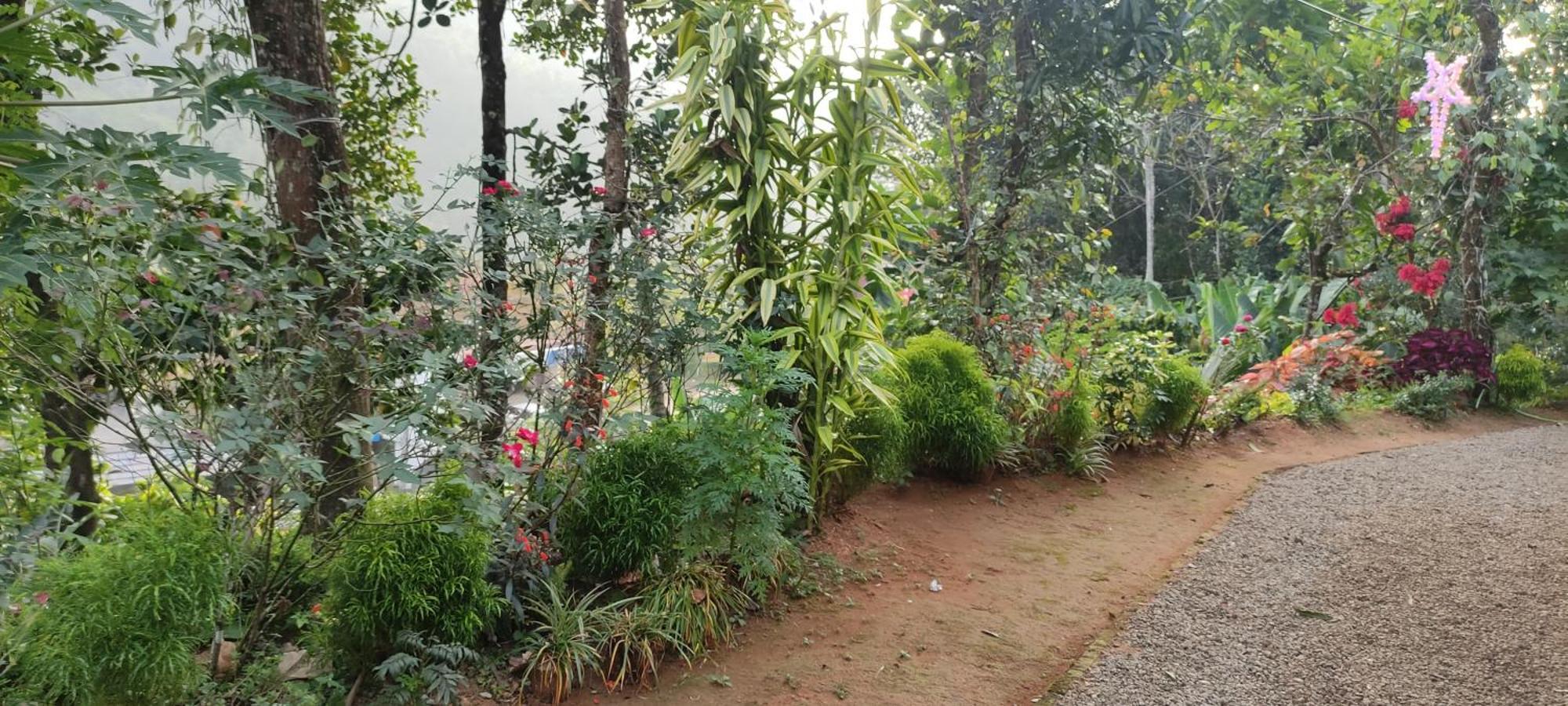 Koonamparayil Munnar Anaviratty-family Only Farm stay *