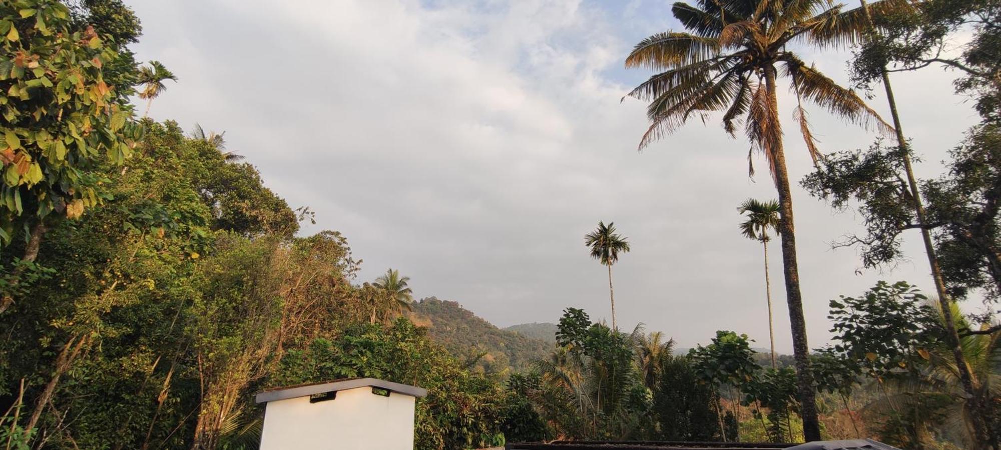 Koonamparayil Munnar Anaviratty-family Only