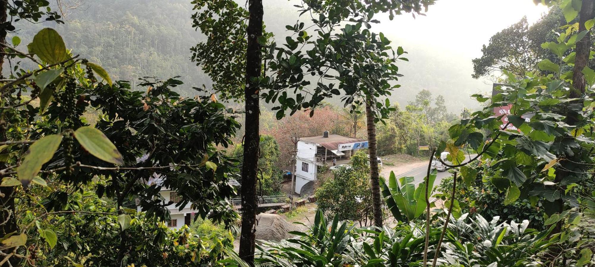 Koonamparayil Munnar Anaviratty-family Only Anaviratty